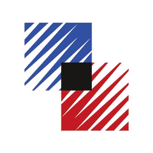 Logo des Fachverbandes Fliesen und Naturstein